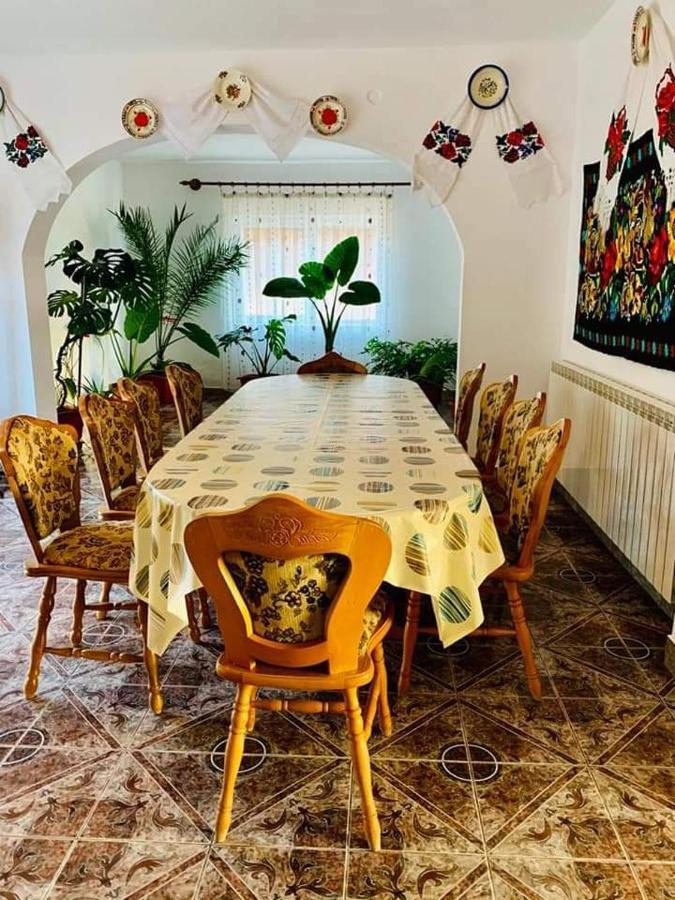 Casa Anca Otel Sighetu Marmaţiei Dış mekan fotoğraf