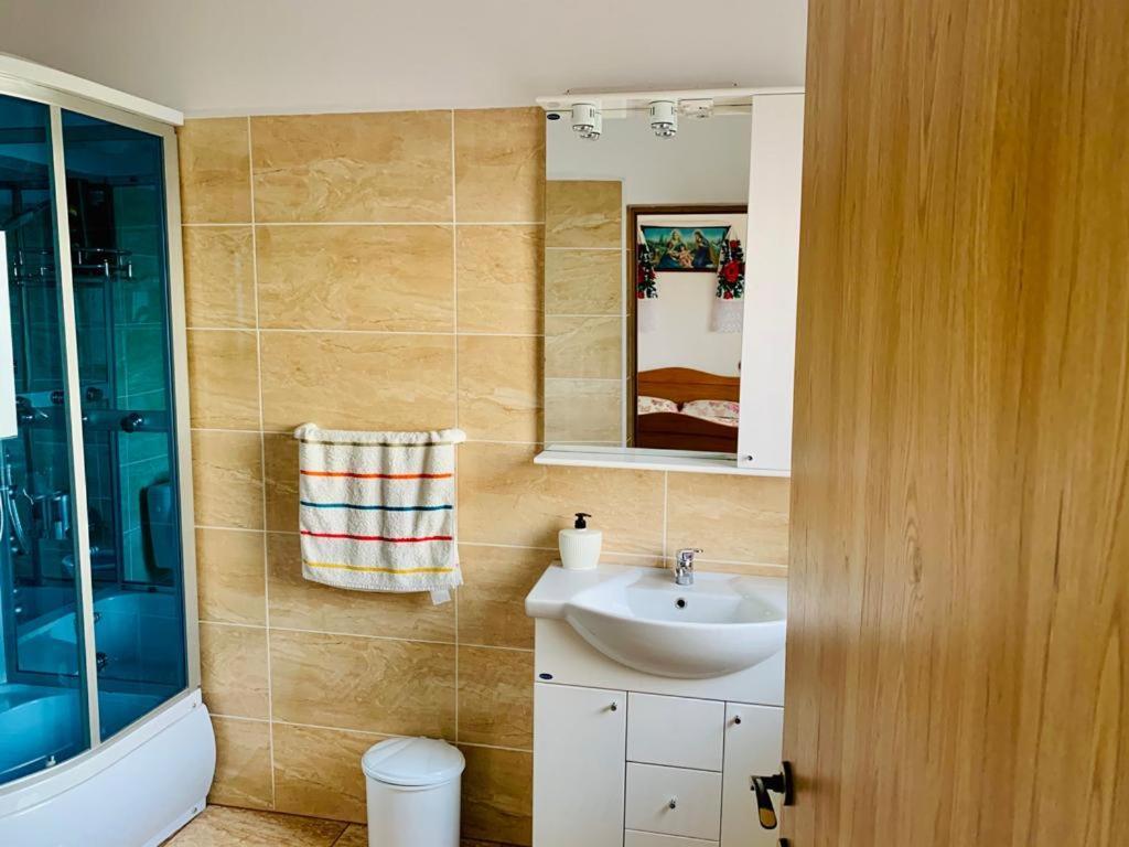 Casa Anca Otel Sighetu Marmaţiei Dış mekan fotoğraf