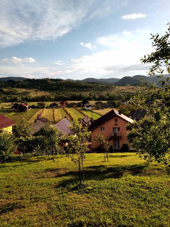 Casa Anca Otel Sighetu Marmaţiei Dış mekan fotoğraf