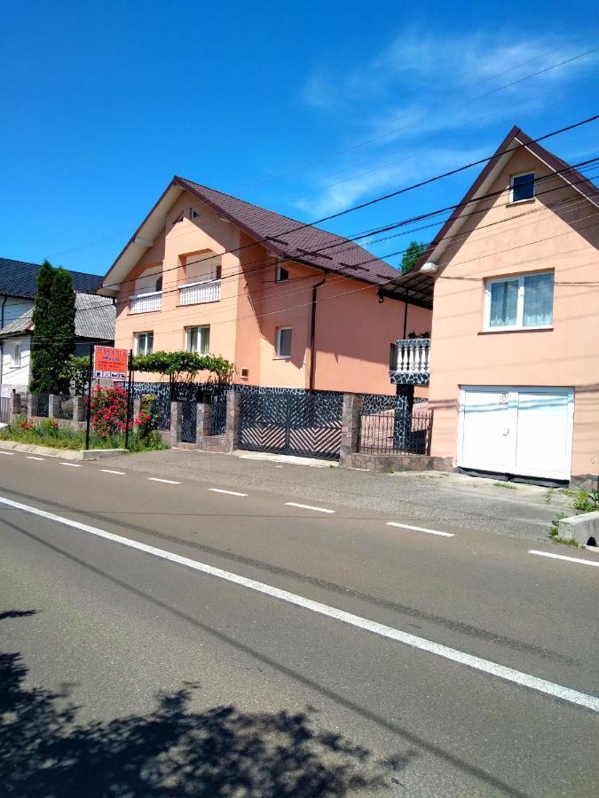 Casa Anca Otel Sighetu Marmaţiei Dış mekan fotoğraf
