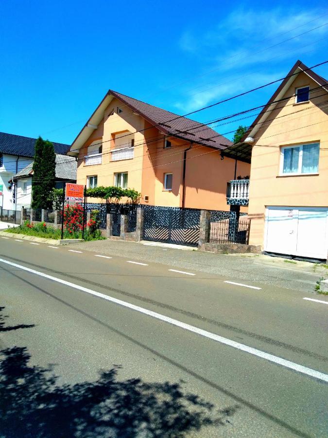 Casa Anca Otel Sighetu Marmaţiei Dış mekan fotoğraf