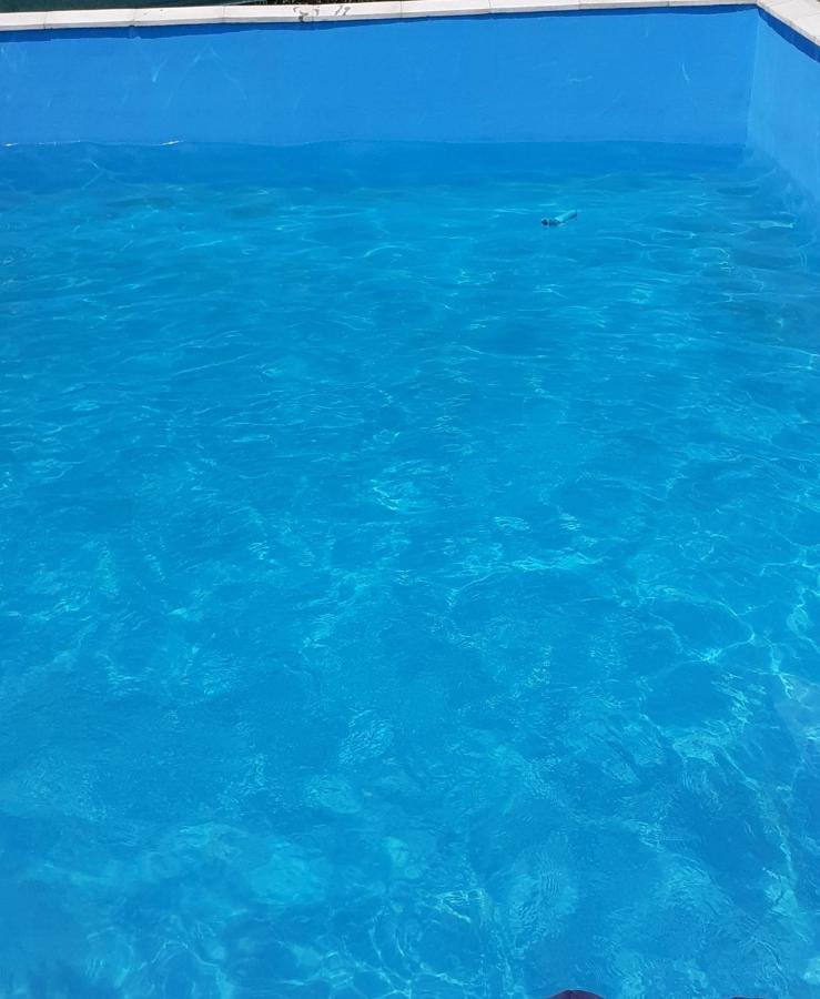 Casa Anca Otel Sighetu Marmaţiei Dış mekan fotoğraf